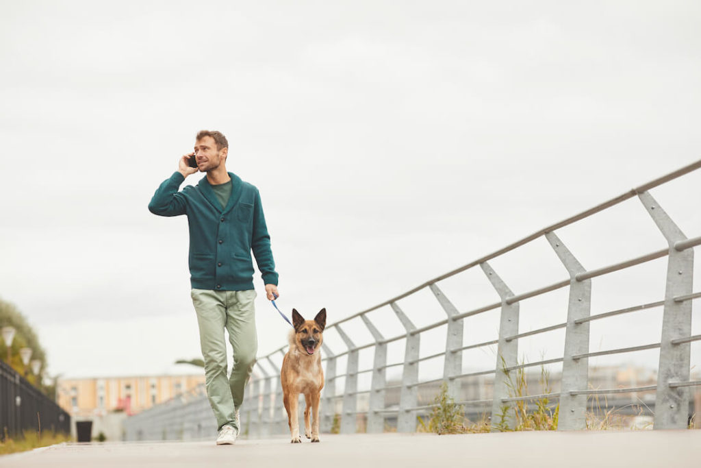 men's sports over 40 - walking training exercise with dog