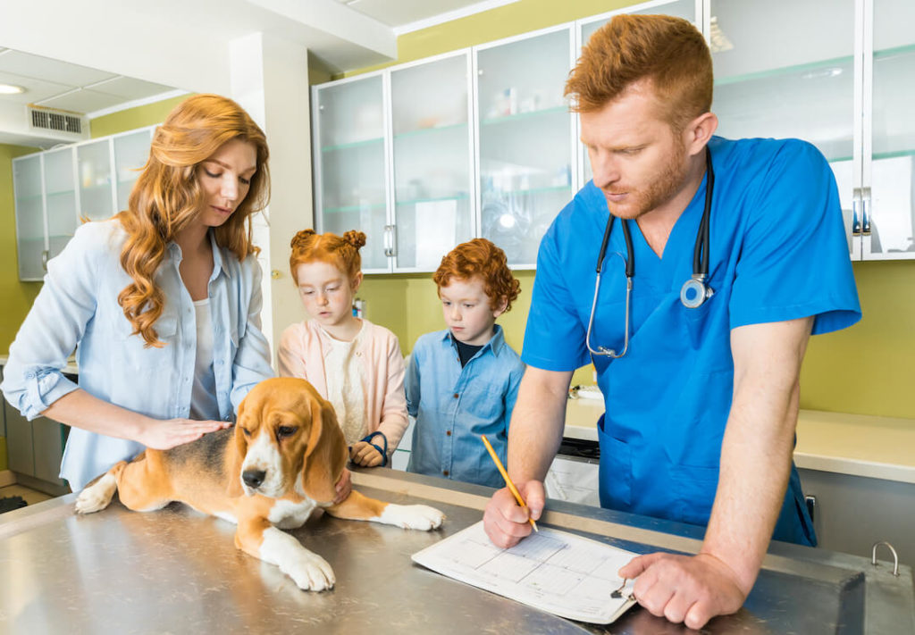 Treatment of Dogs with Upset Stomach - Woman with her kids and dog at Vet clinic