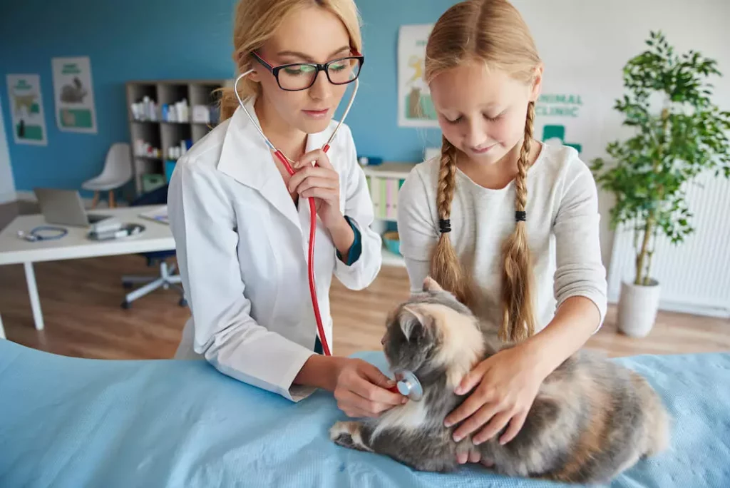 Cats Vomiting Foam Causes and Treatment - Veterinarian diagnosing a sick cat