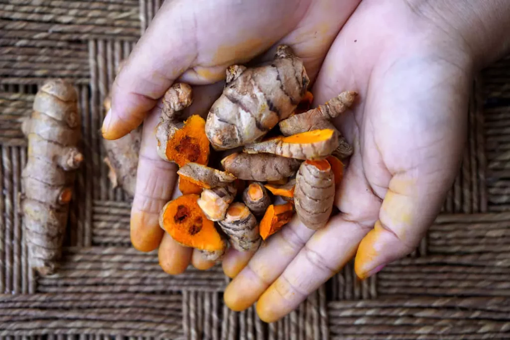 8 Secret Health Benefits of Organic Turmeric Root Powder