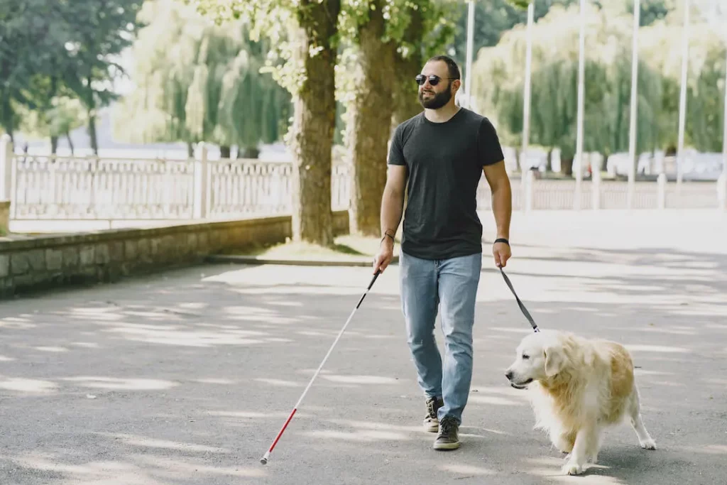 Dogs Provide More Service to Humans Than Cats - Blind man walking with his guide dog