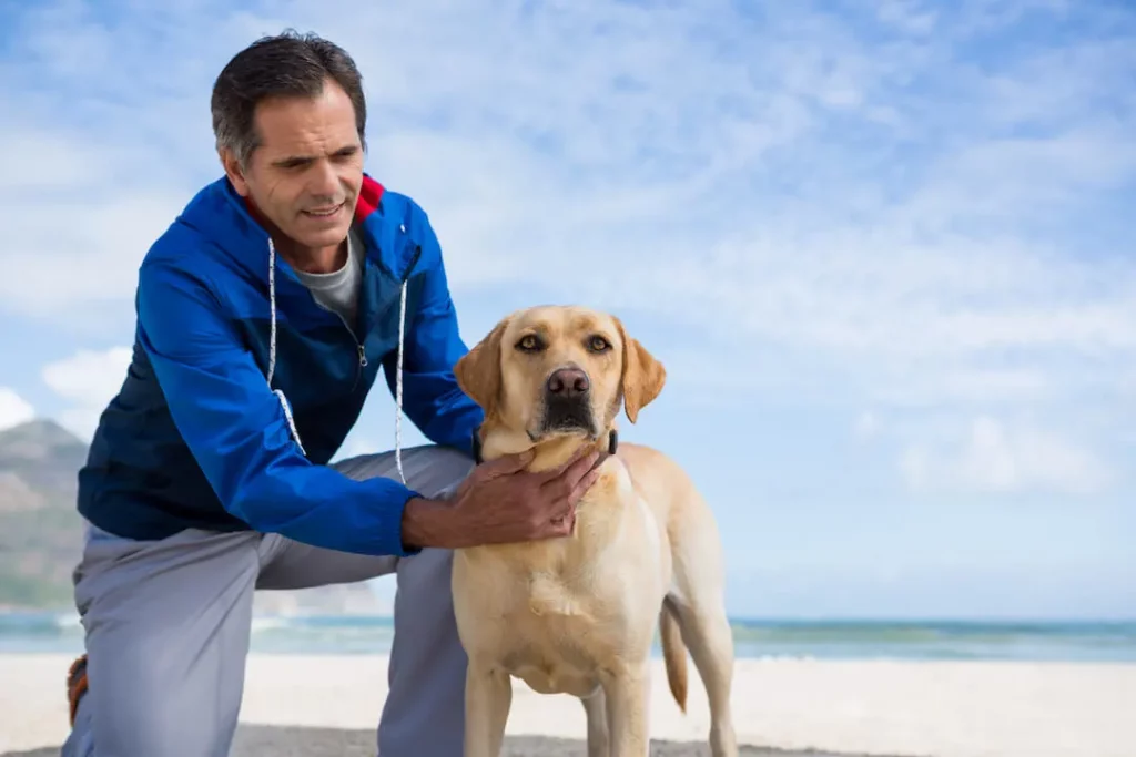 Science Shows Dogs Have Greater Intelligence - Man with his pet dog on the beach