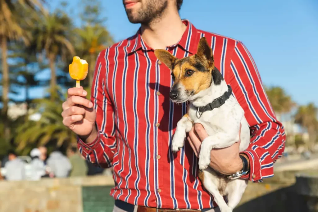 Can Dogs Eat Popsicles Meant for Humans?
